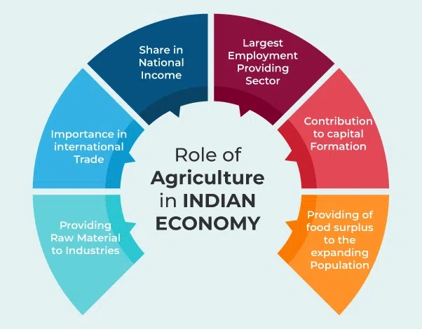 career in the agriculture sector